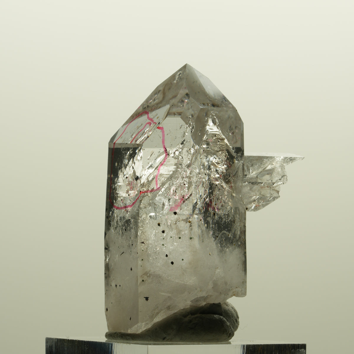 Enhydro Harlekin Phantom Rauchquarz, 2x Blase (große) Streep Mine, Namibia 43*32*23mm #15137