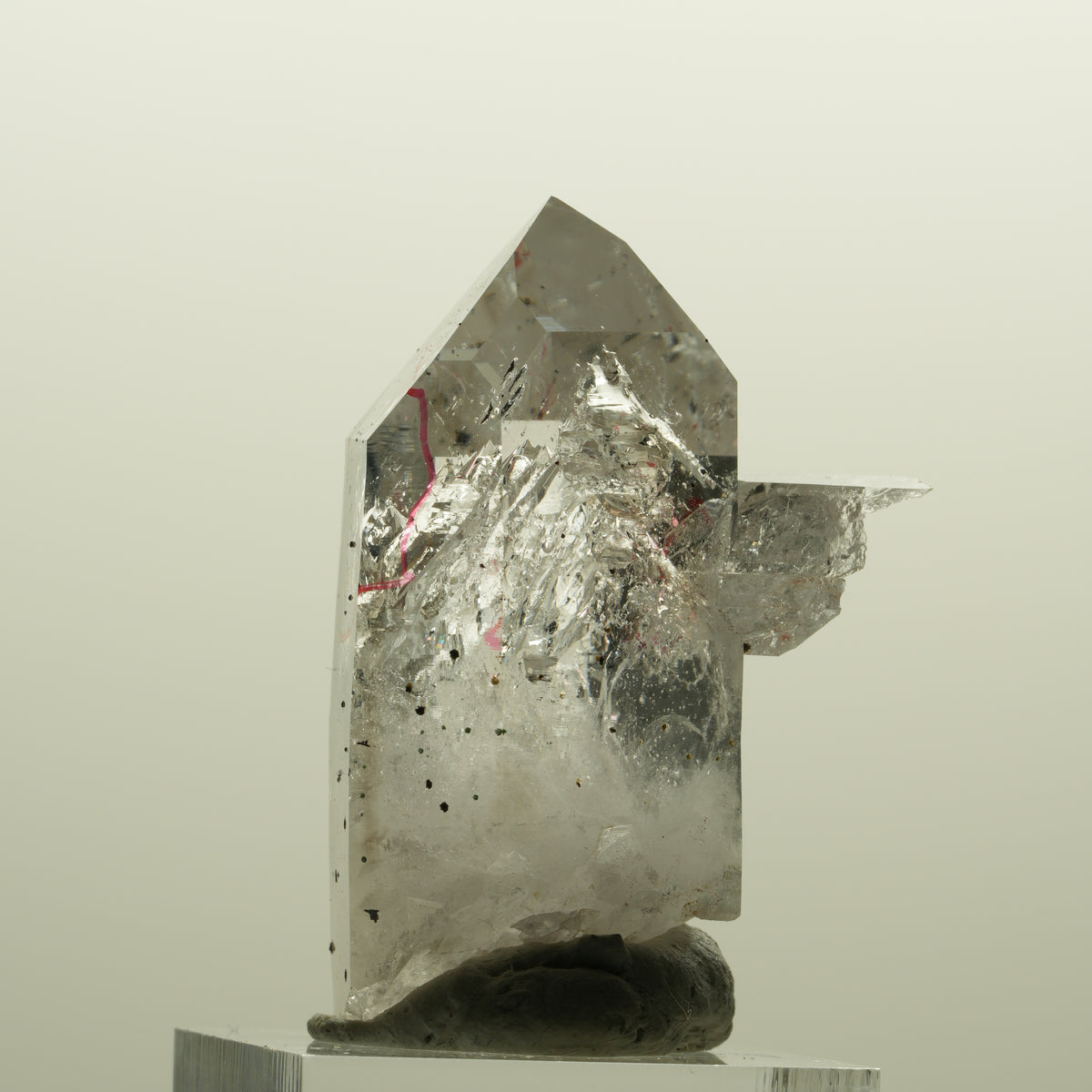 Enhydro Harlekin Phantom Rauchquarz, 2x Blase (große) Streep Mine, Namibia 43*32*23mm #15137