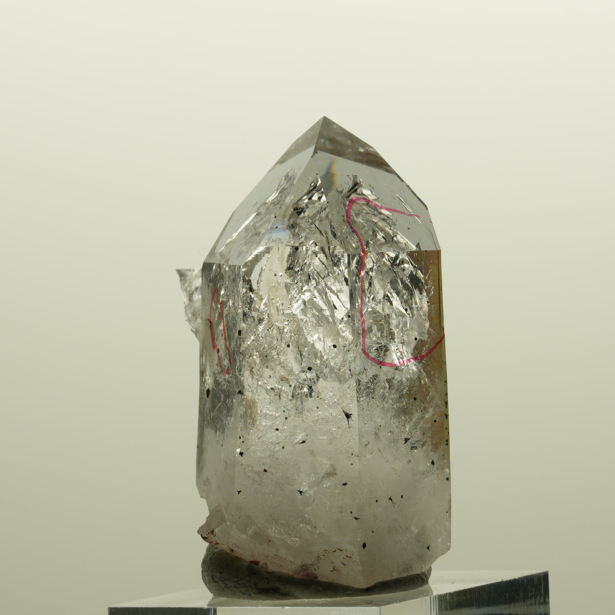 Enhydro Harlekin Phantom Rauchquarz, 2x Blase (große) Streep Mine, Namibia 43*32*23mm #15137