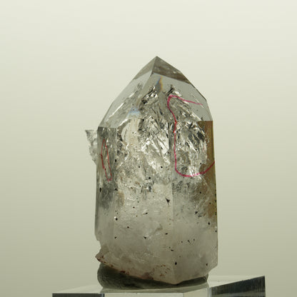 Enhydro Harlekin Phantom Rauchquarz, 2x Blase (große) Streep Mine, Namibia 43*32*23mm #15137