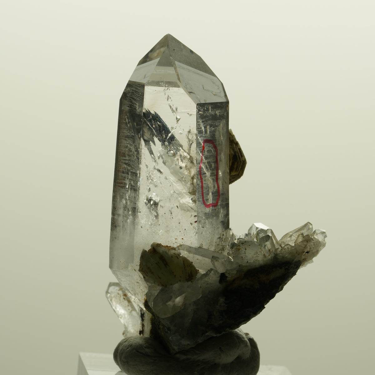 Enhydro Lemurian Phantom Rauchquarz mit Prehnit, 1x Blase Streep Mine, Namibia 47*35*24mm #15138