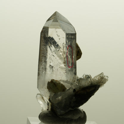 Enhydro Lemurian Phantom Rauchquarz mit Prehnit, 1x Blase Streep Mine, Namibia 47*35*24mm #15138