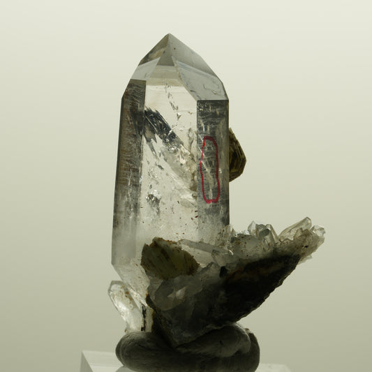 Enhydro Lemurian Phantom Rauchquarz mit Prehnit, 1x Blase Streep Mine, Namibia 47*35*24mm #15138