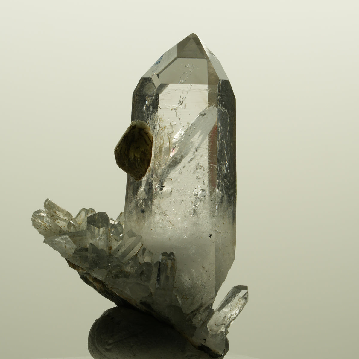 Enhydro Lemurian Phantom Rauchquarz mit Prehnit, 1x Blase Streep Mine, Namibia 47*35*24mm #15138