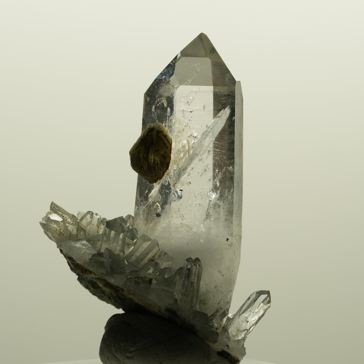 Enhydro Lemurian Phantom Rauchquarz mit Prehnit, 1x Blase Streep Mine, Namibia 47*35*24mm #15138