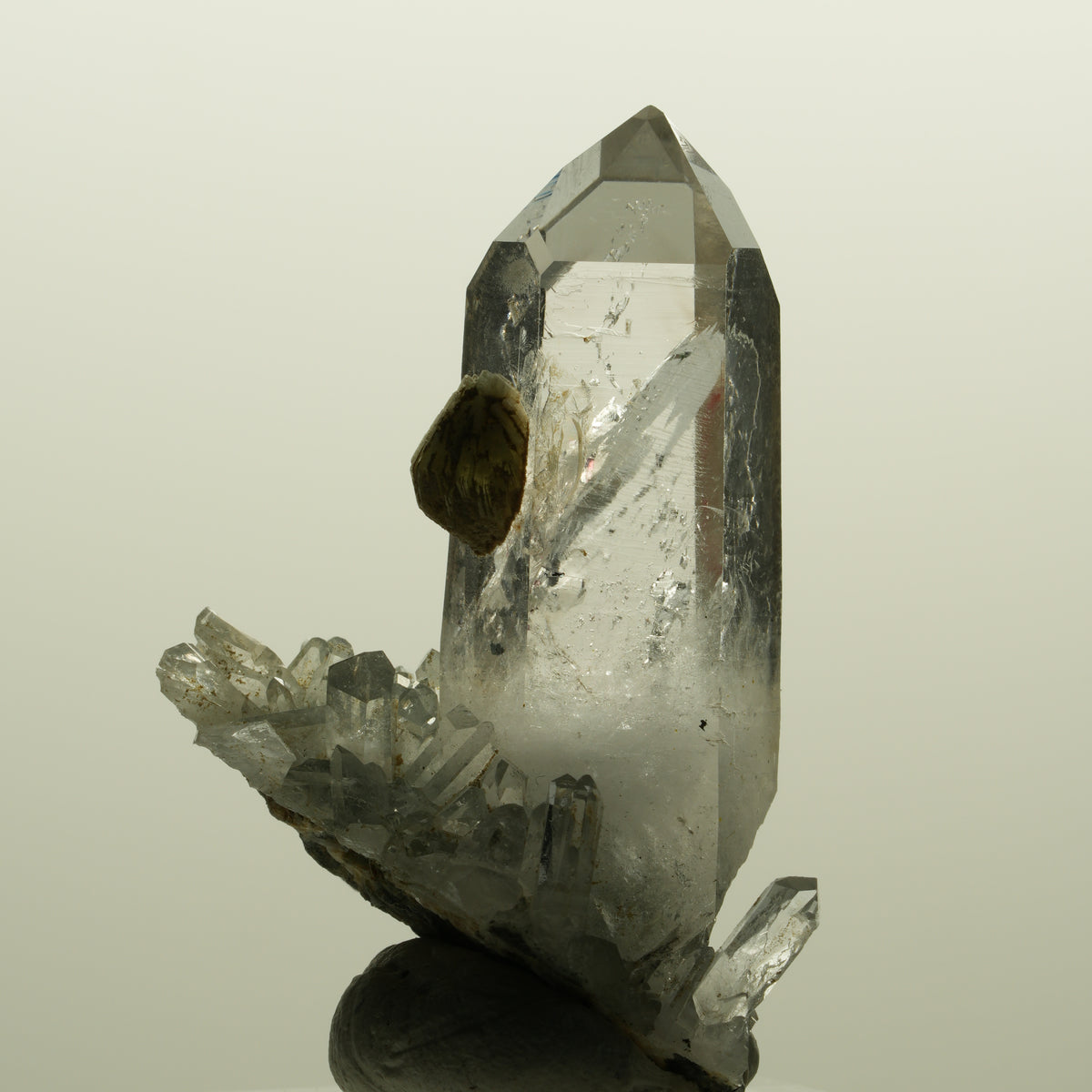Enhydro Lemurian Phantom Rauchquarz mit Prehnit, 1x Blase Streep Mine, Namibia 47*35*24mm #15138