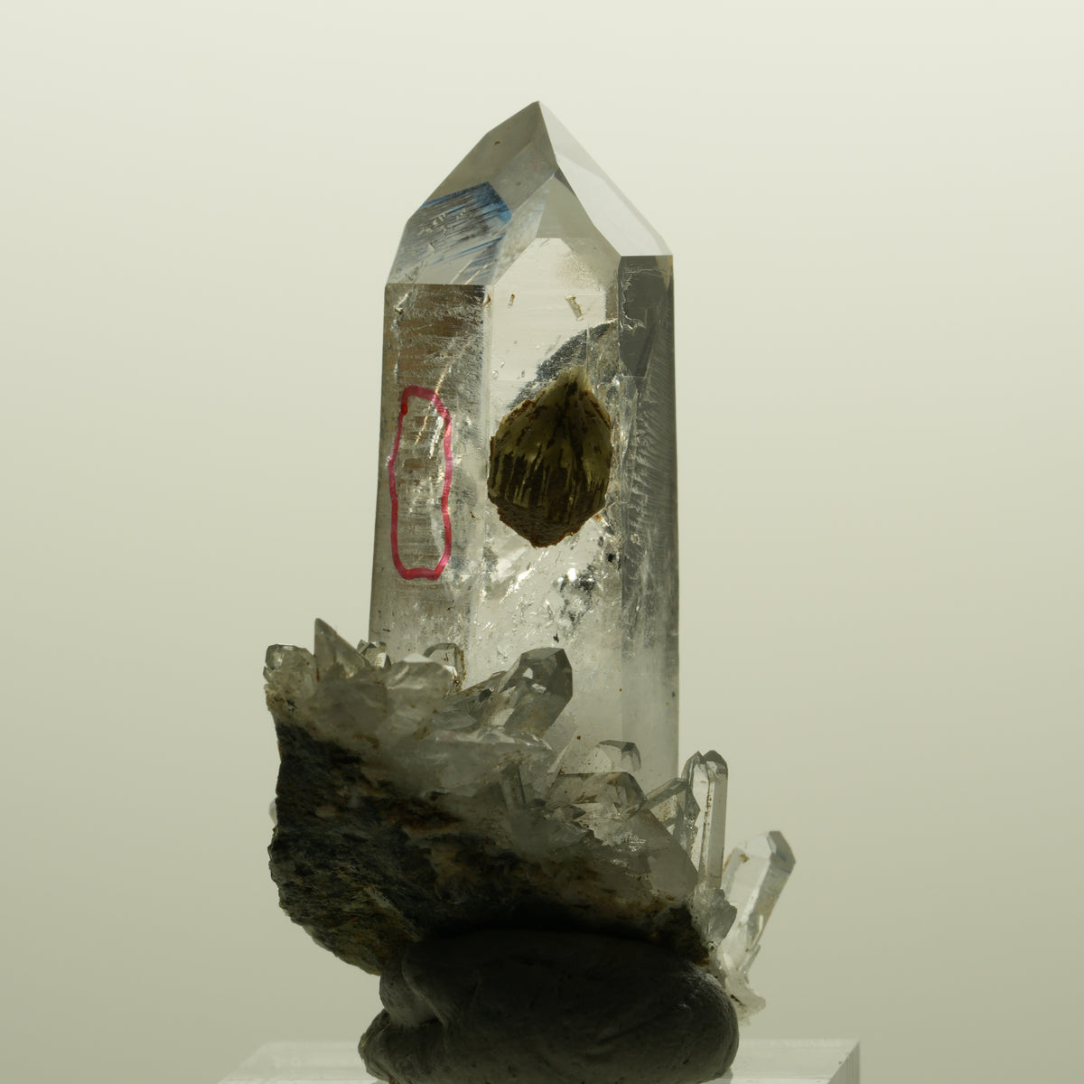 Enhydro Lemurian Phantom Rauchquarz mit Prehnit, 1x Blase Streep Mine, Namibia 47*35*24mm #15138