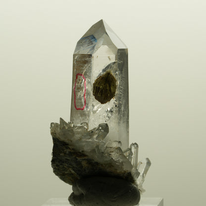 Enhydro Lemurian Phantom Rauchquarz mit Prehnit, 1x Blase Streep Mine, Namibia 47*35*24mm #15138
