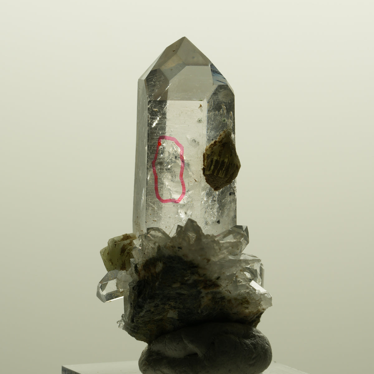 Enhydro Lemurian Phantom Rauchquarz mit Prehnit, 1x Blase Streep Mine, Namibia 47*35*24mm #15138