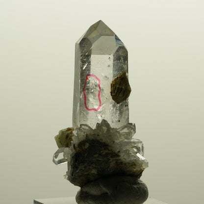 Enhydro Lemurian Phantom Rauchquarz mit Prehnit, 1x Blase Streep Mine, Namibia 47*35*24mm #15138