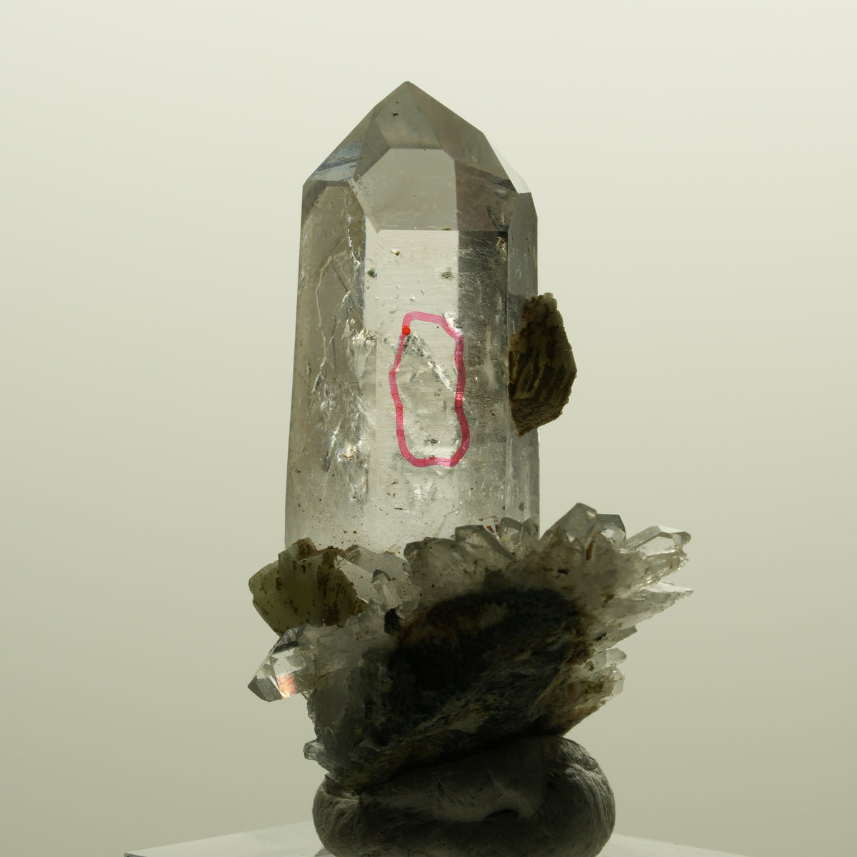 Enhydro Lemurian Phantom Rauchquarz mit Prehnit, 1x Blase Streep Mine, Namibia 47*35*24mm #15138