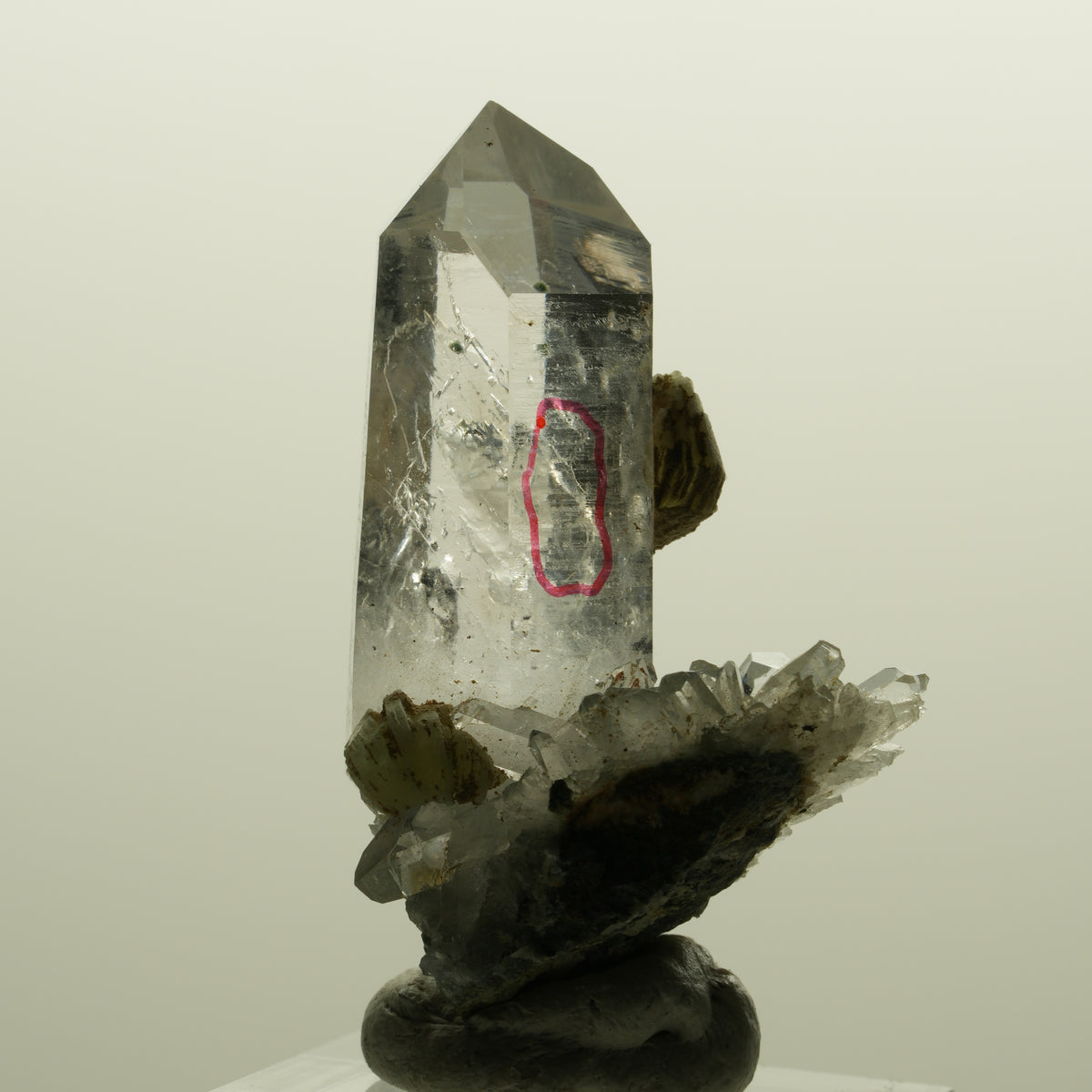 Enhydro Lemurian Phantom Rauchquarz mit Prehnit, 1x Blase Streep Mine, Namibia 47*35*24mm #15138