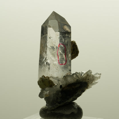 Enhydro Lemurian Phantom Rauchquarz mit Prehnit, 1x Blase Streep Mine, Namibia 47*35*24mm #15138