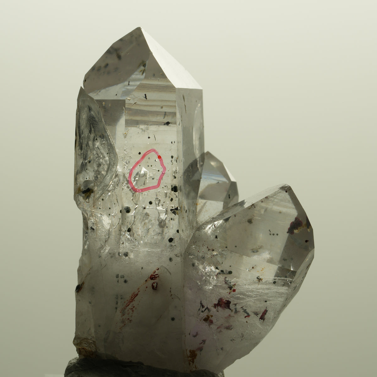 Enhydro Harlekin Lemurian Phantom Amethyst, 1x Blase Streep Mine, Namibia 49*34*28mm #15142