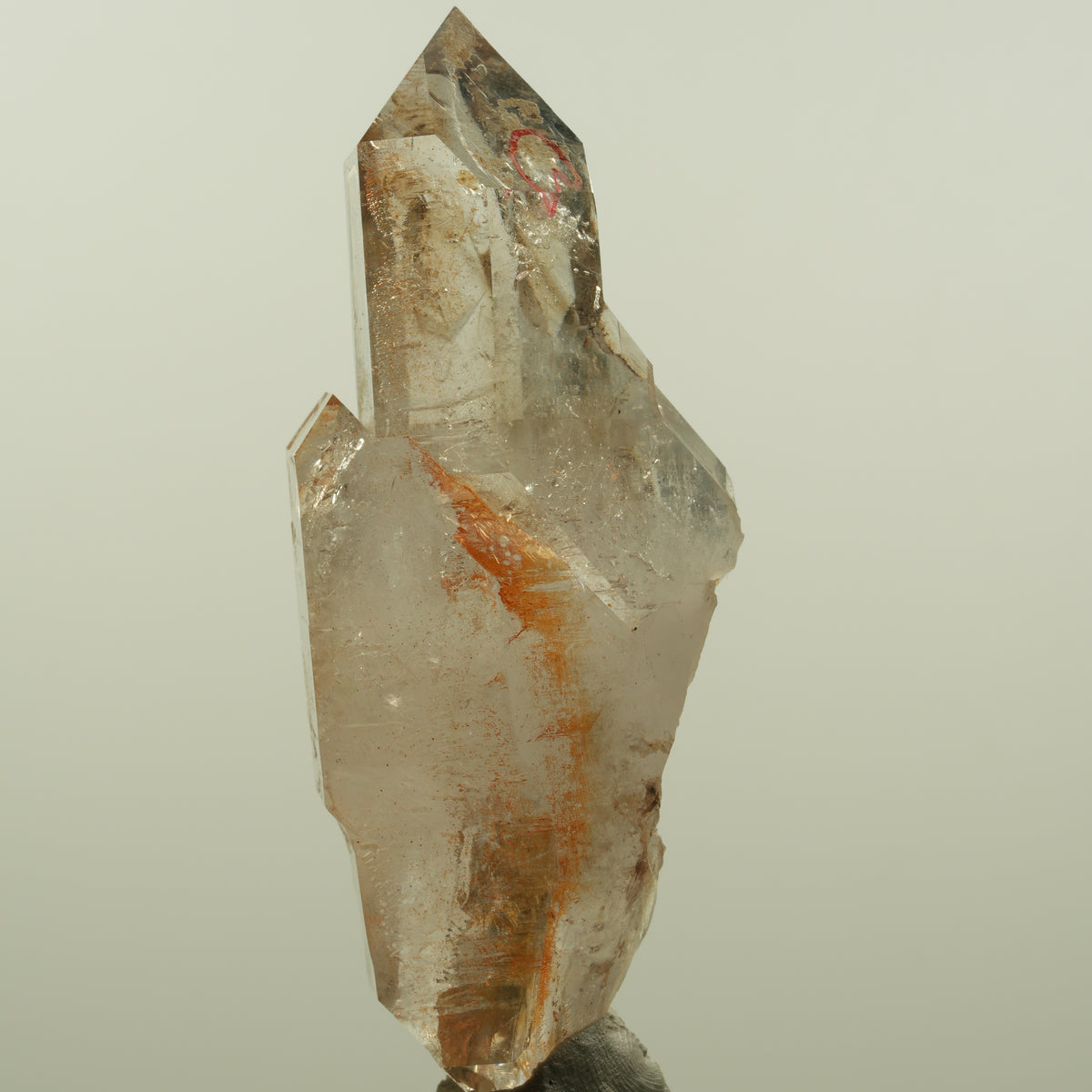 Enhydro Phantom Rauchquarz Skelett Doppelender, 1x Blase Goboboseb, Namibia 80*28*32mm #15151
