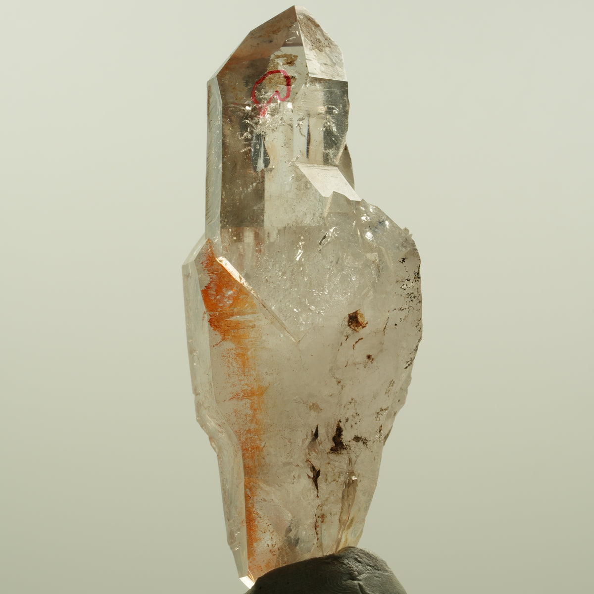 Enhydro Phantom Rauchquarz Skelett Doppelender, 1x Blase Goboboseb, Namibia 80*28*32mm #15151