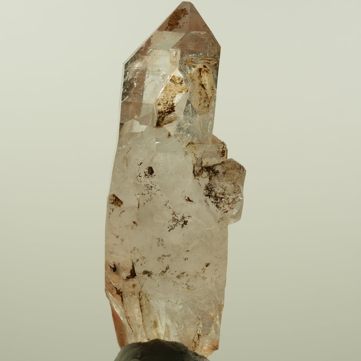 Enhydro Phantom Rauchquarz Skelett Doppelender, 1x Blase Goboboseb, Namibia 80*28*32mm #15151