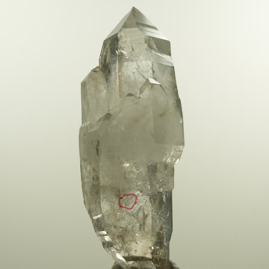 Enhydro Phantom Rauchquarz Skelett Doppelender, 1x Blase Goboboseb, Namibia 101*37*31mm #15152