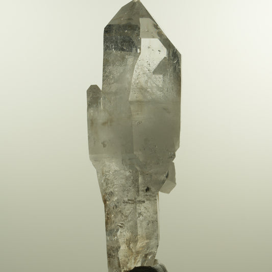 Enhydro Phantom Rauchquarz Skelett Doppelender, 1x Blase Goboboseb, Namibia 101*37*31mm #15152