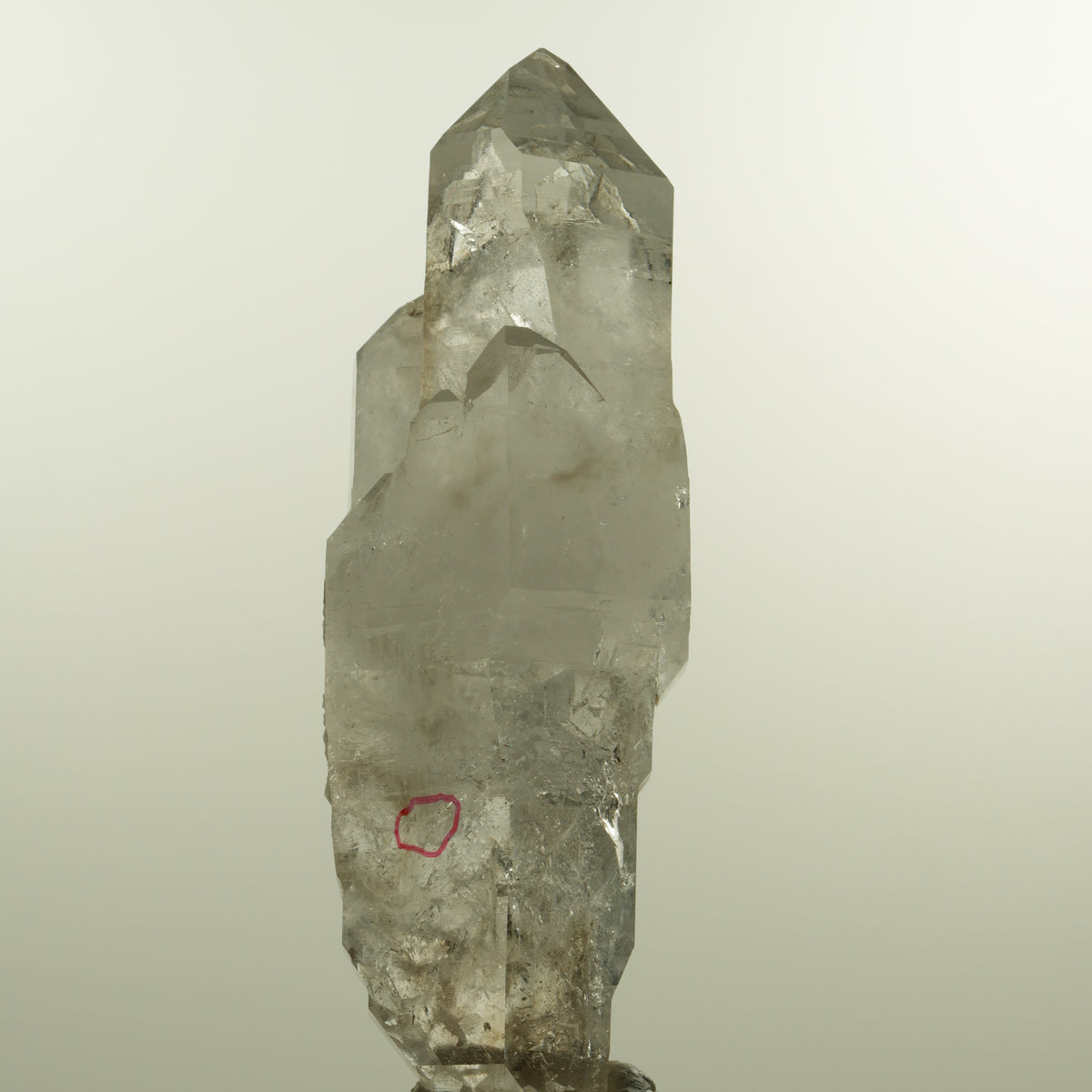 Enhydro Phantom Rauchquarz Skelett Doppelender, 1x Blase Goboboseb, Namibia 101*37*31mm #15152