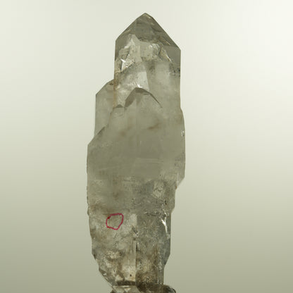 Enhydro Phantom Rauchquarz Skelett Doppelender, 1x Blase Goboboseb, Namibia 101*37*31mm #15152
