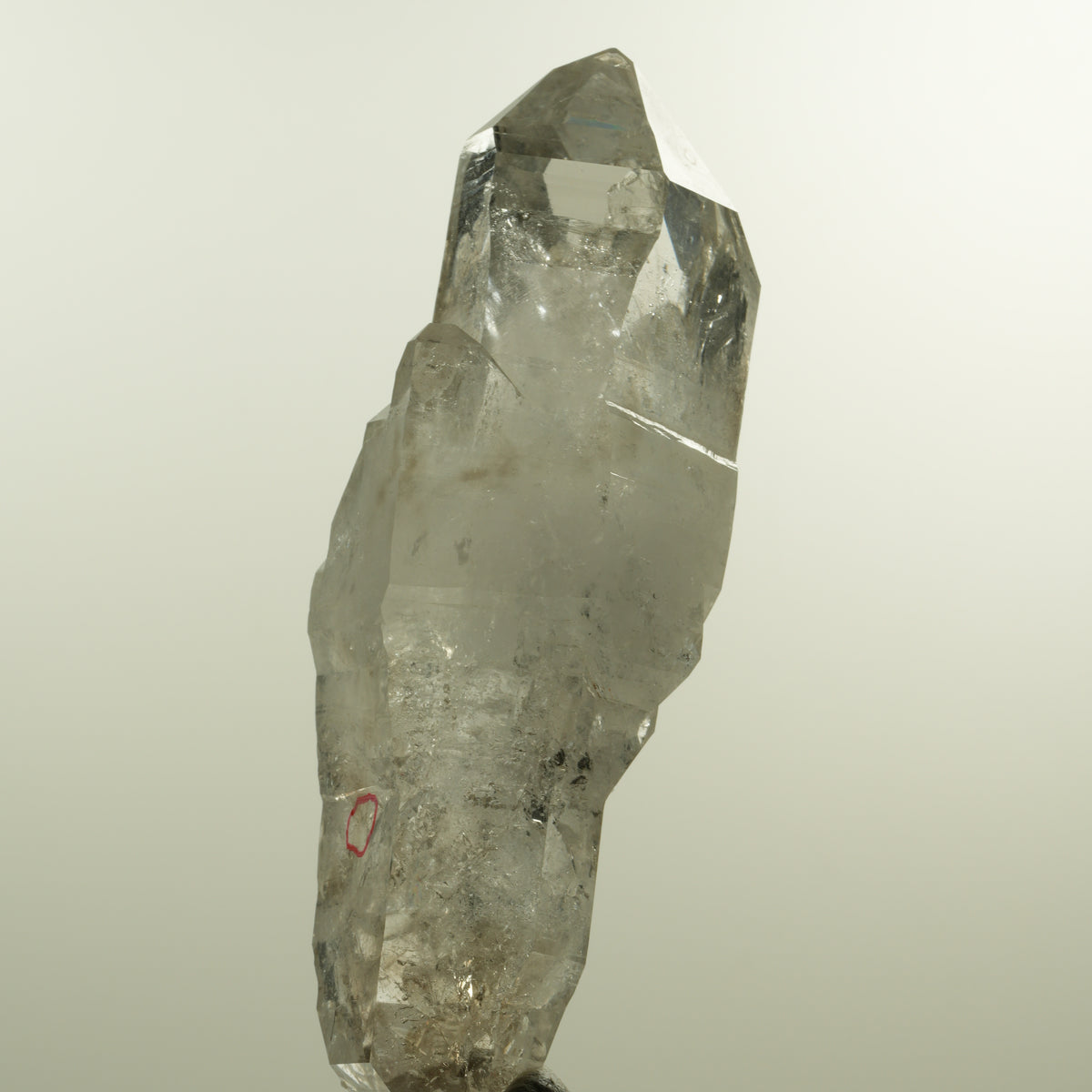 Enhydro Phantom Rauchquarz Skelett Doppelender, 1x Blase Goboboseb, Namibia 101*37*31mm #15152
