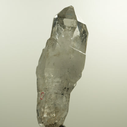 Enhydro Phantom Rauchquarz Skelett Doppelender, 1x Blase Goboboseb, Namibia 101*37*31mm #15152