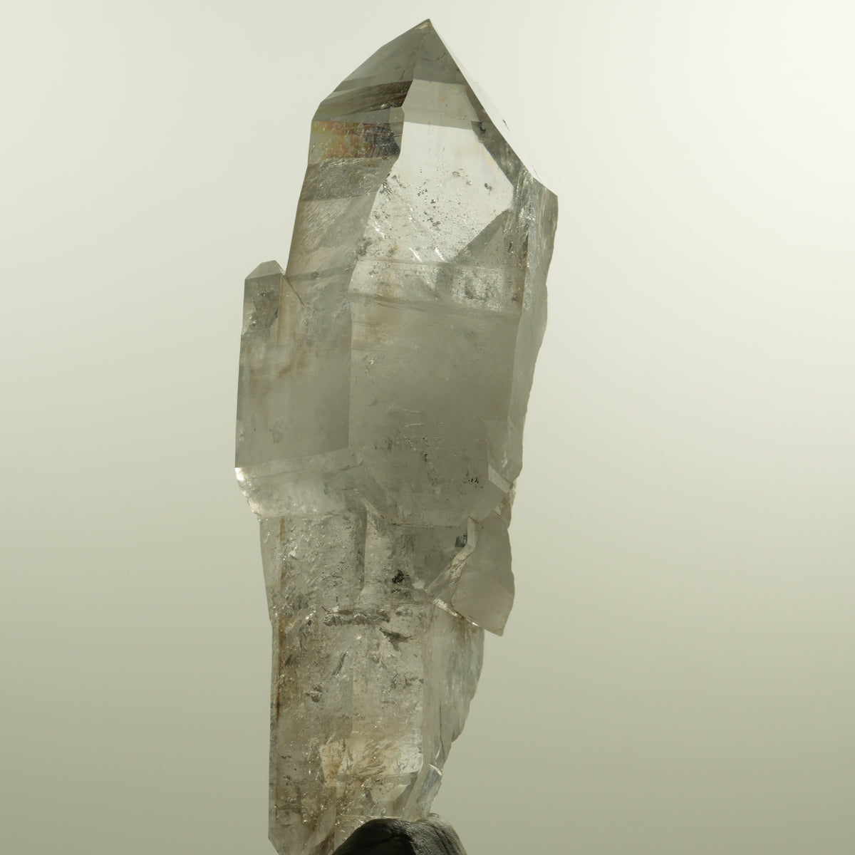 Enhydro Phantom Rauchquarz Skelett Doppelender, 1x Blase Goboboseb, Namibia 101*37*31mm #15152