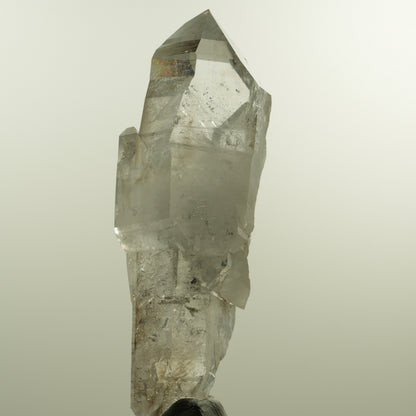 Enhydro Phantom Rauchquarz Skelett Doppelender, 1x Blase Goboboseb, Namibia 101*37*31mm #15152