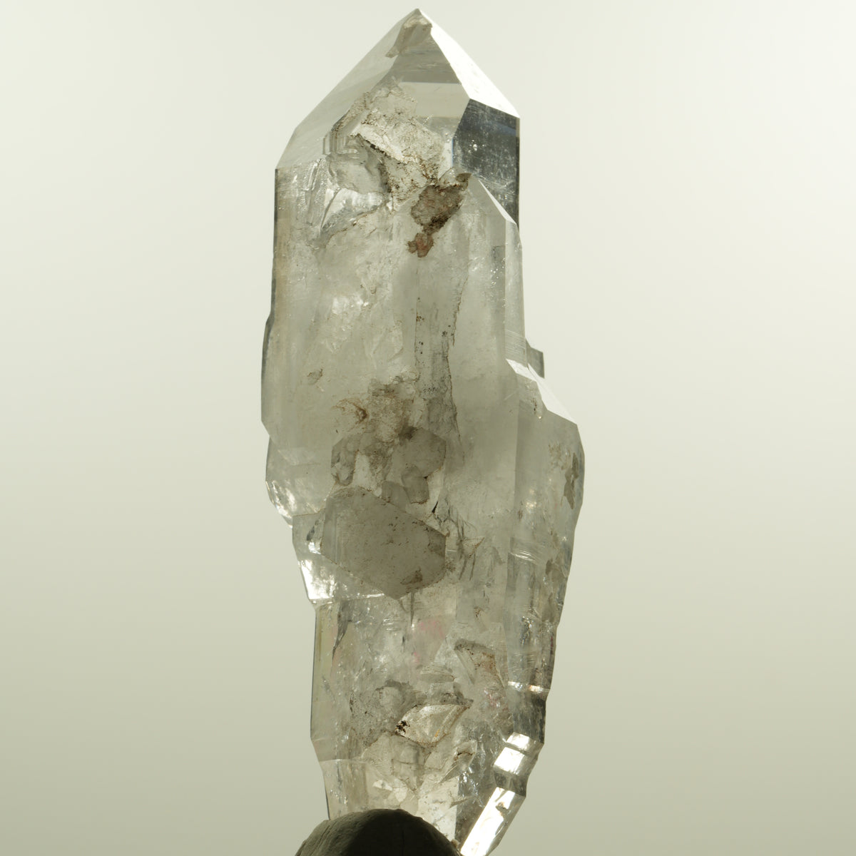 Enhydro Phantom Rauchquarz Skelett Doppelender, 1x Blase Goboboseb, Namibia 101*37*31mm #15152