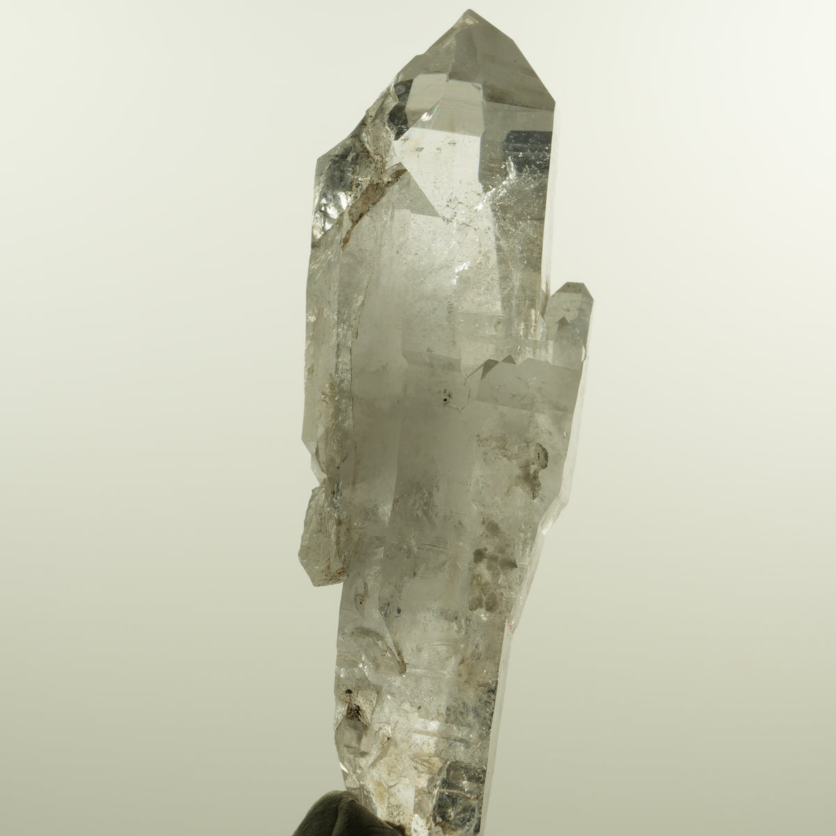 Enhydro Phantom Rauchquarz Skelett Doppelender, 1x Blase Goboboseb, Namibia 101*37*31mm #15152