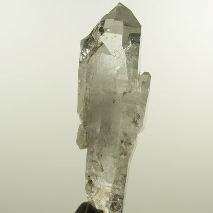 Enhydro Phantom Rauchquarz Skelett Doppelender, 1x Blase Goboboseb, Namibia 101*37*31mm #15152