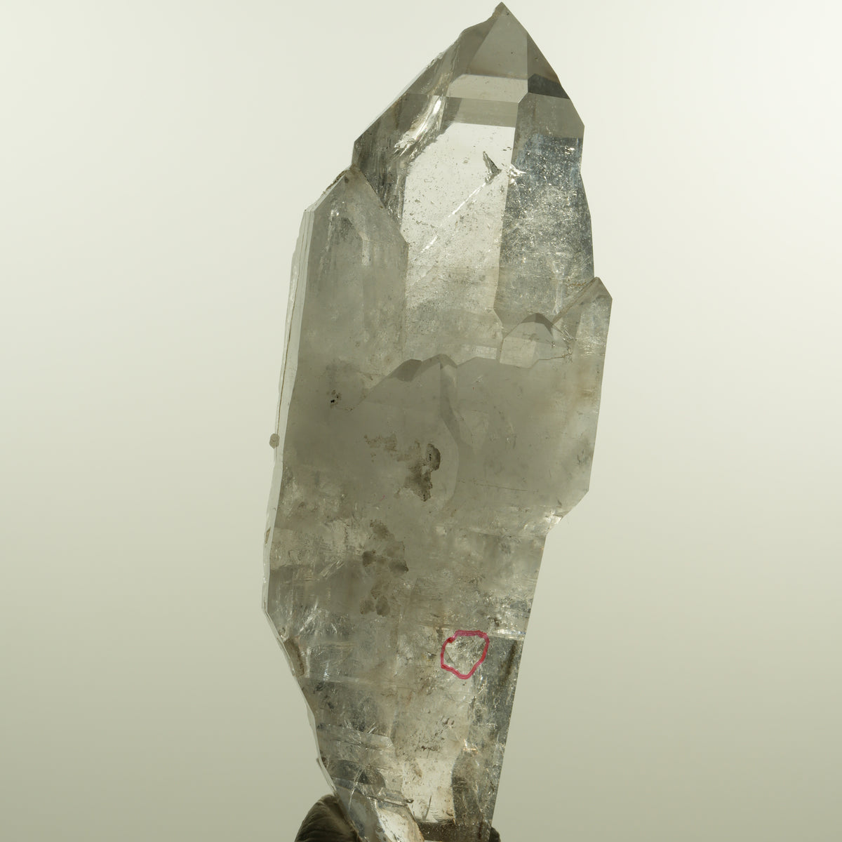 Enhydro Phantom Rauchquarz Skelett Doppelender, 1x Blase Goboboseb, Namibia 101*37*31mm #15152