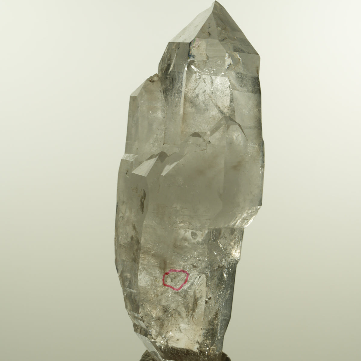 Enhydro Phantom Rauchquarz Skelett Doppelender, 1x Blase Goboboseb, Namibia 101*37*31mm #15152