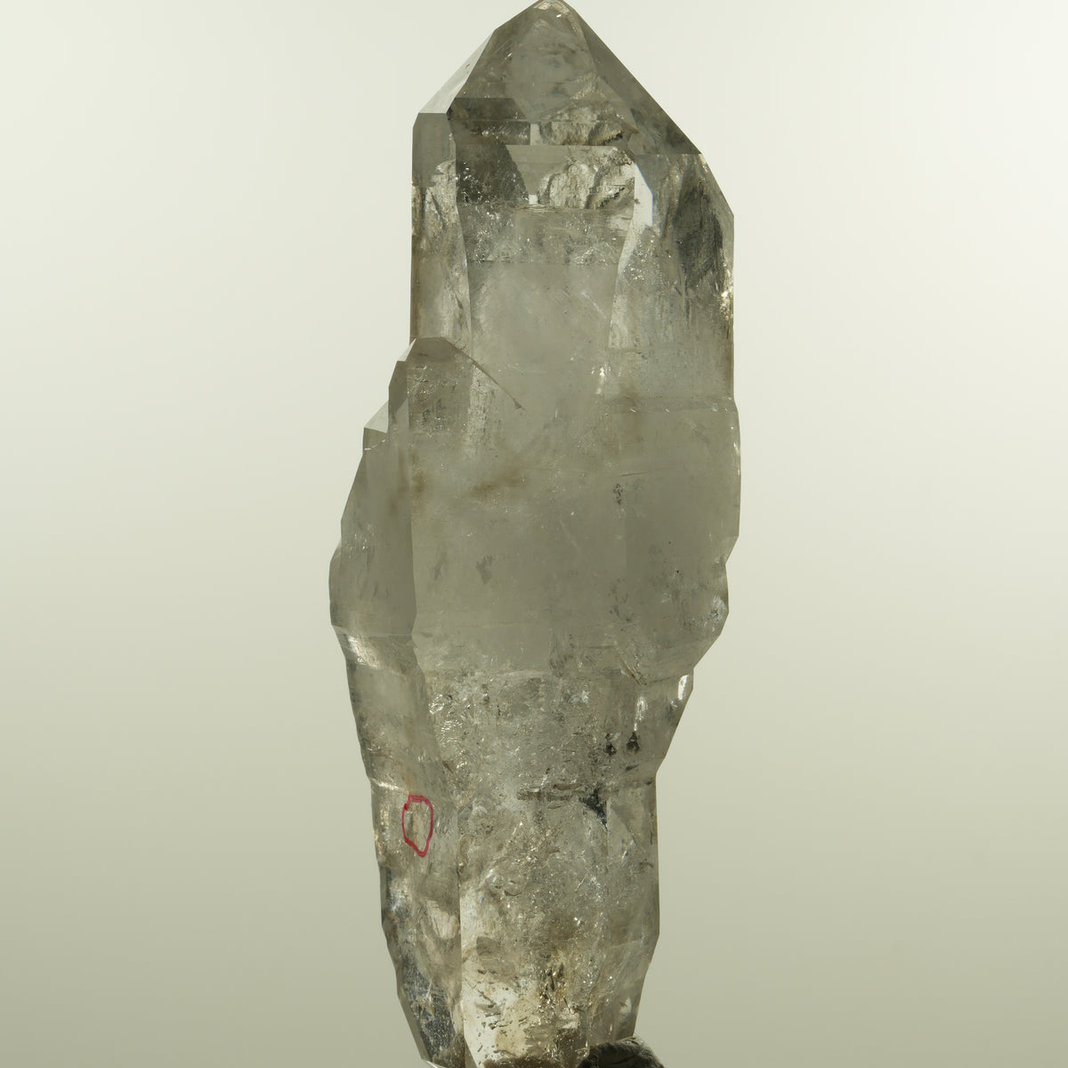 Enhydro Phantom Rauchquarz Skelett Doppelender, 1x Blase Goboboseb, Namibia 101*37*31mm #15152