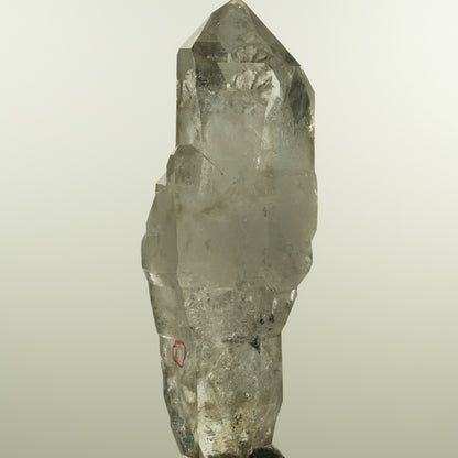 Enhydro Phantom Rauchquarz Skelett Doppelender, 1x Blase Goboboseb, Namibia 101*37*31mm #15152