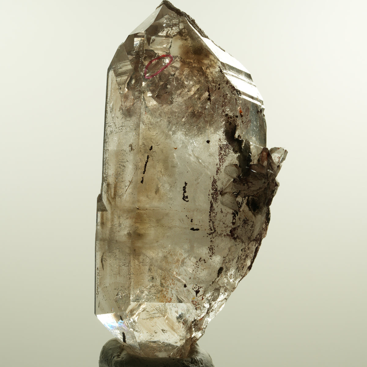 Enhydro Phantom Rauchquarz Skelett Doppelender, 1x Blase Goboboseb, Namibia 105*53*30mm #15160