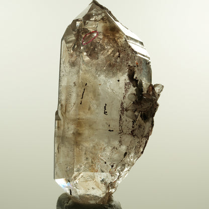 Enhydro Phantom Rauchquarz Skelett Doppelender, 1x Blase Goboboseb, Namibia 105*53*30mm #15160