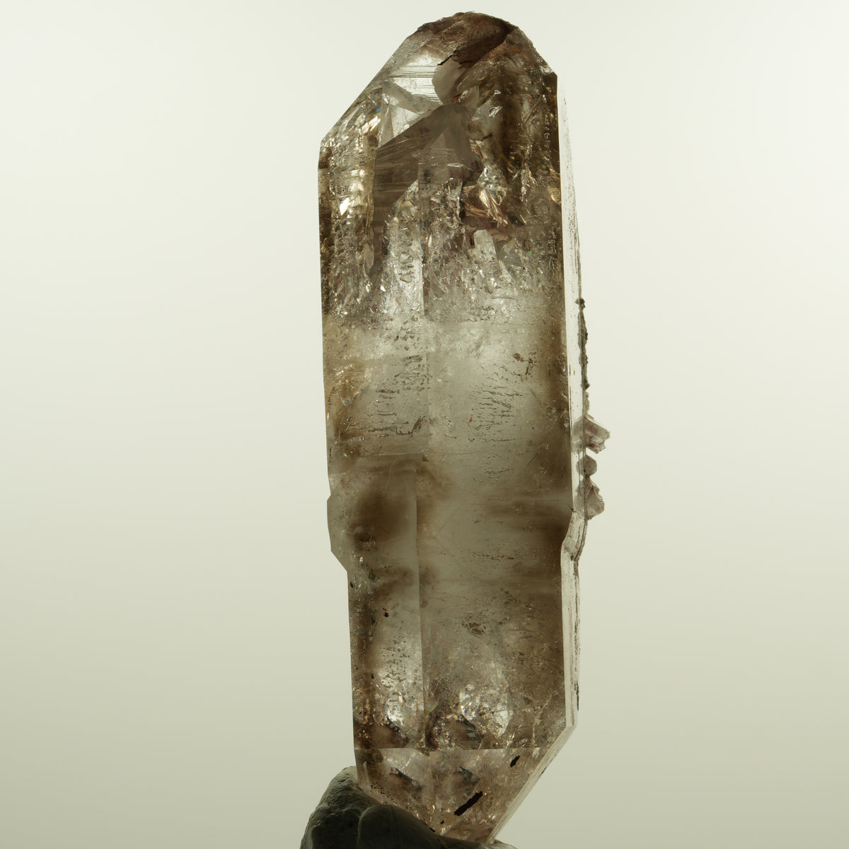 Enhydro Phantom Rauchquarz Skelett Doppelender, 1x Blase Goboboseb, Namibia 105*53*30mm #15160