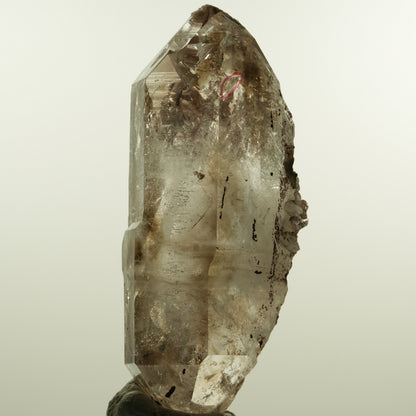 Enhydro Phantom Rauchquarz Skelett Doppelender, 1x Blase Goboboseb, Namibia 105*53*30mm #15160