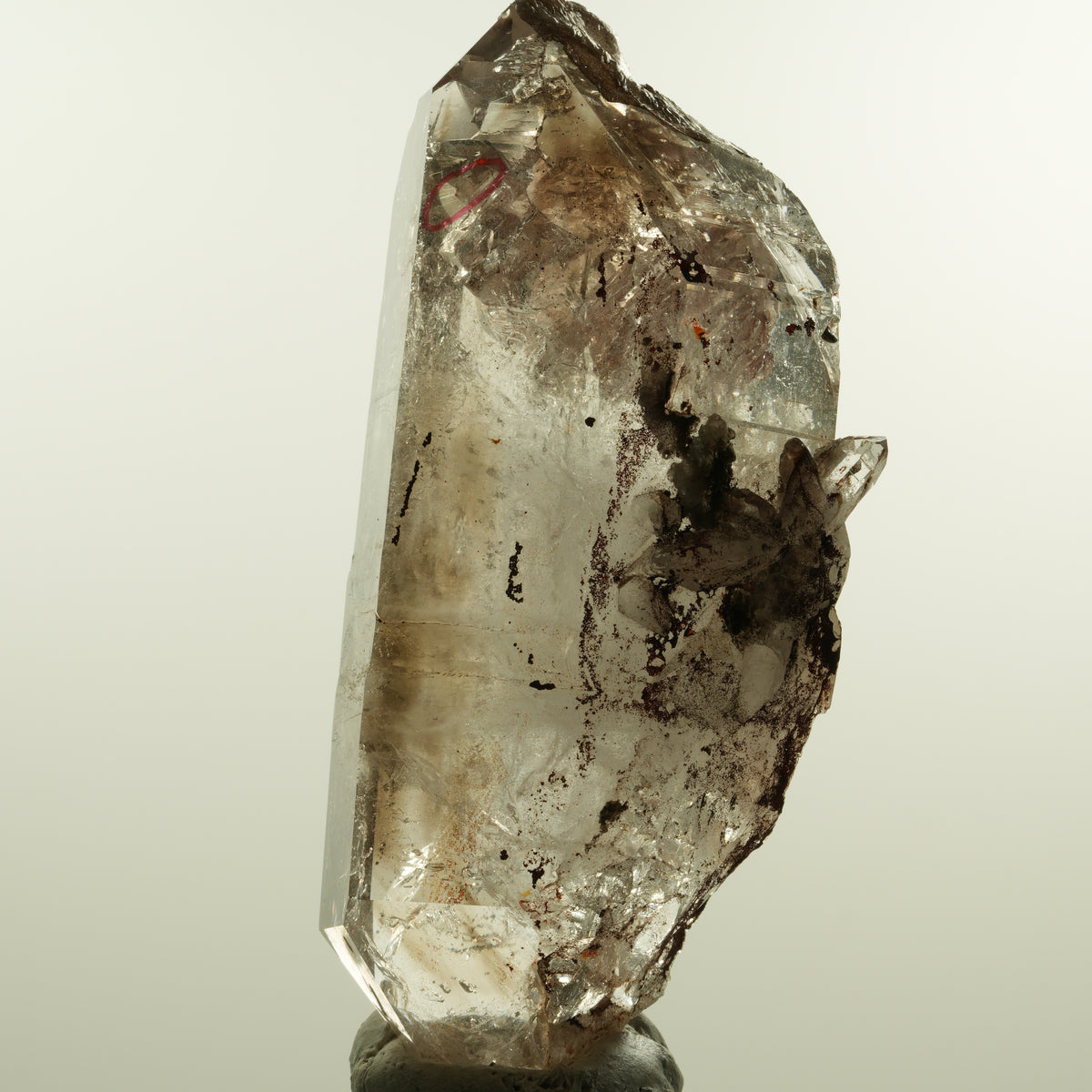 Enhydro Phantom Rauchquarz Skelett Doppelender, 1x Blase Goboboseb, Namibia 105*53*30mm #15160
