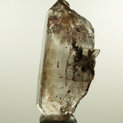 Enhydro Phantom Rauchquarz Skelett Doppelender, 1x Blase Goboboseb, Namibia 105*53*30mm #15160