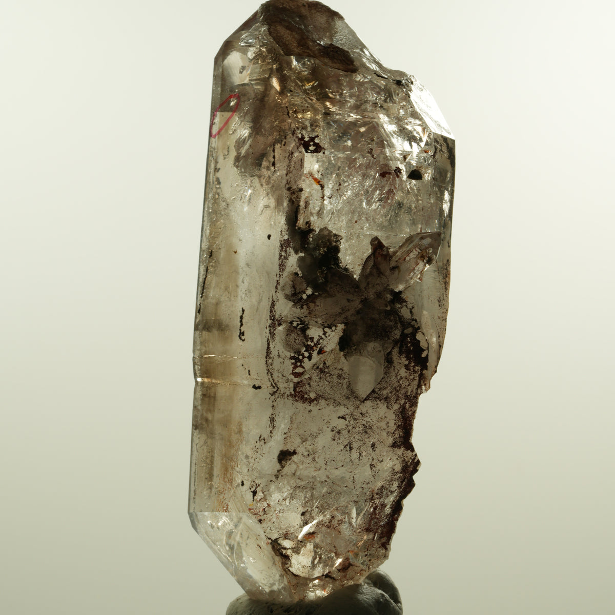 Enhydro Phantom Rauchquarz Skelett Doppelender, 1x Blase Goboboseb, Namibia 105*53*30mm #15160