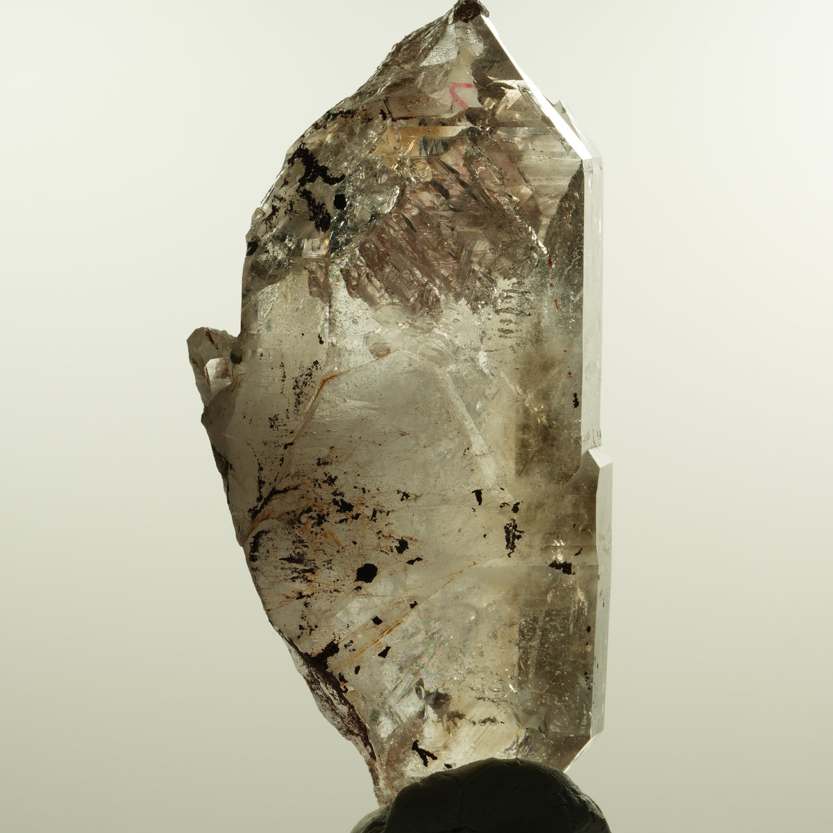 Enhydro Phantom Rauchquarz Skelett Doppelender, 1x Blase Goboboseb, Namibia 105*53*30mm #15160