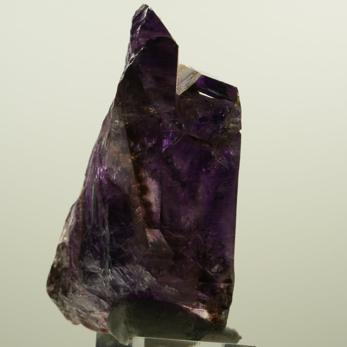 Seltene Skelett Phantom Amethyst Spitze Goboboseb, Namibia 91*58*39mm #15162