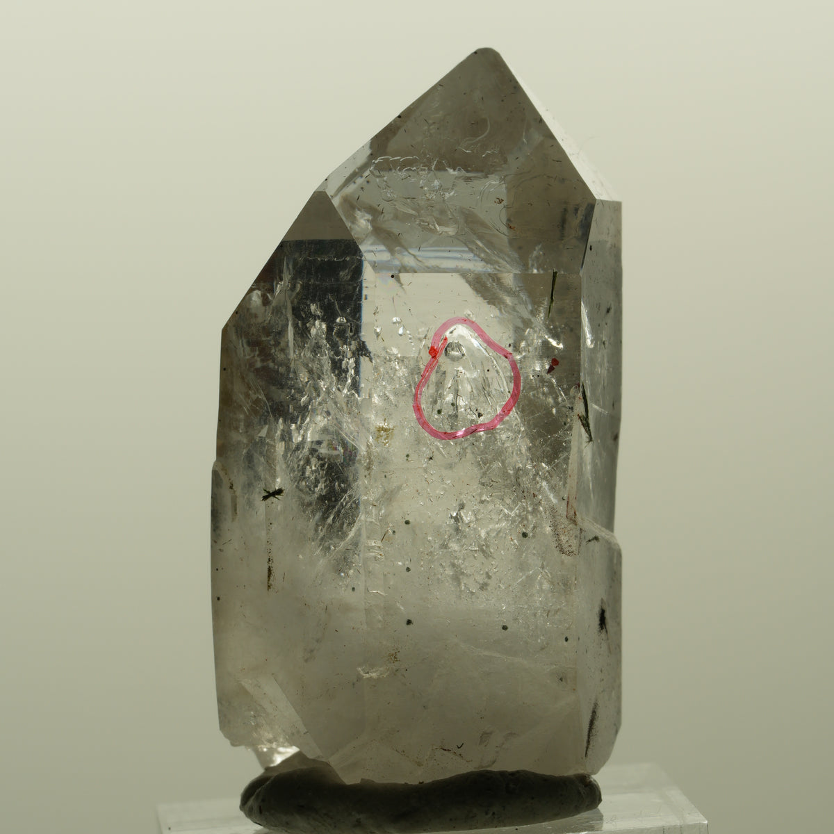 Enhydro Harlekin Lemurian Skelett Rauchquarz Epidot 1x Blase Streep Mine Namibia 42*24*21mm #15191