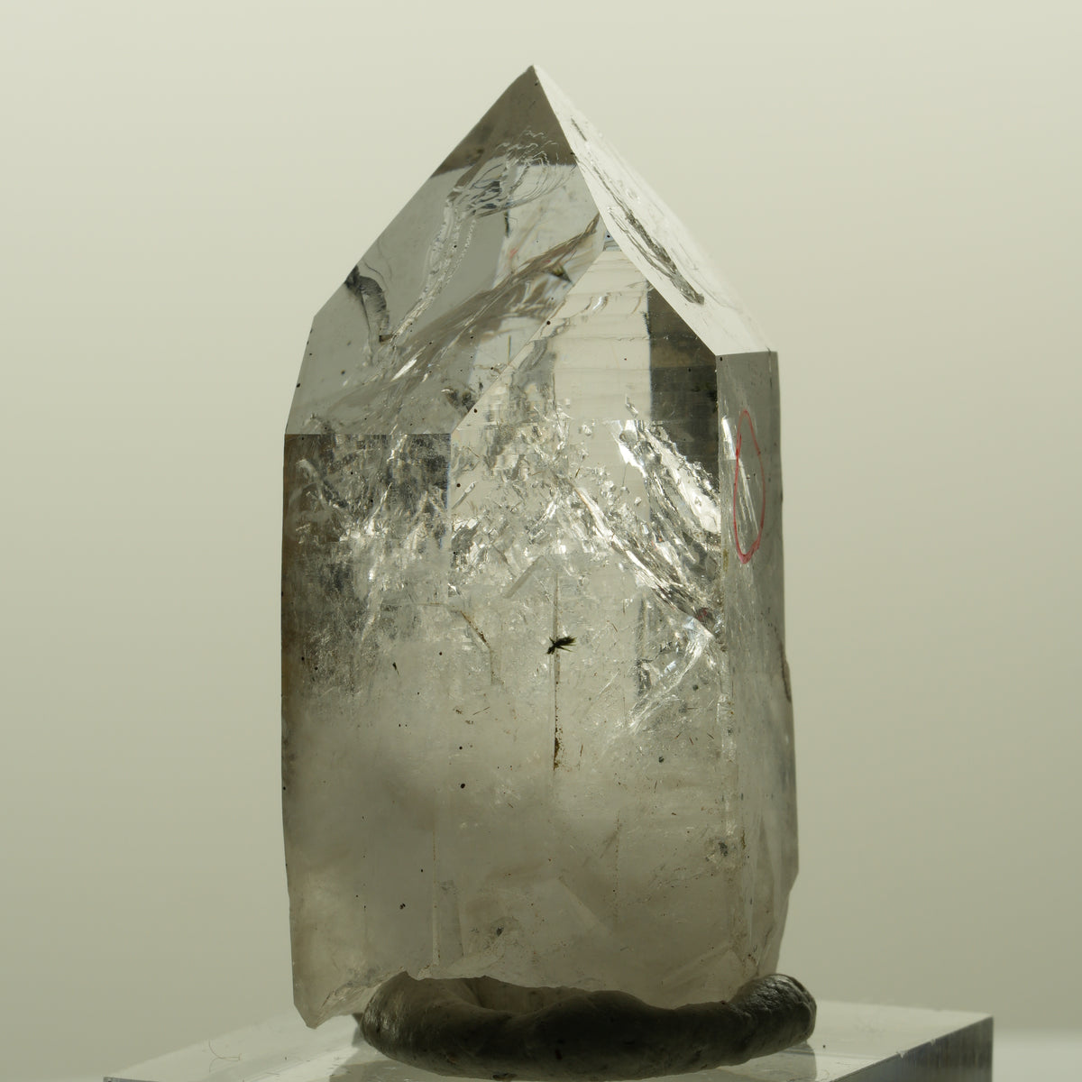 Enhydro Harlekin Lemurian Skelett Rauchquarz Epidot 1x Blase Streep Mine Namibia 42*24*21mm #15191