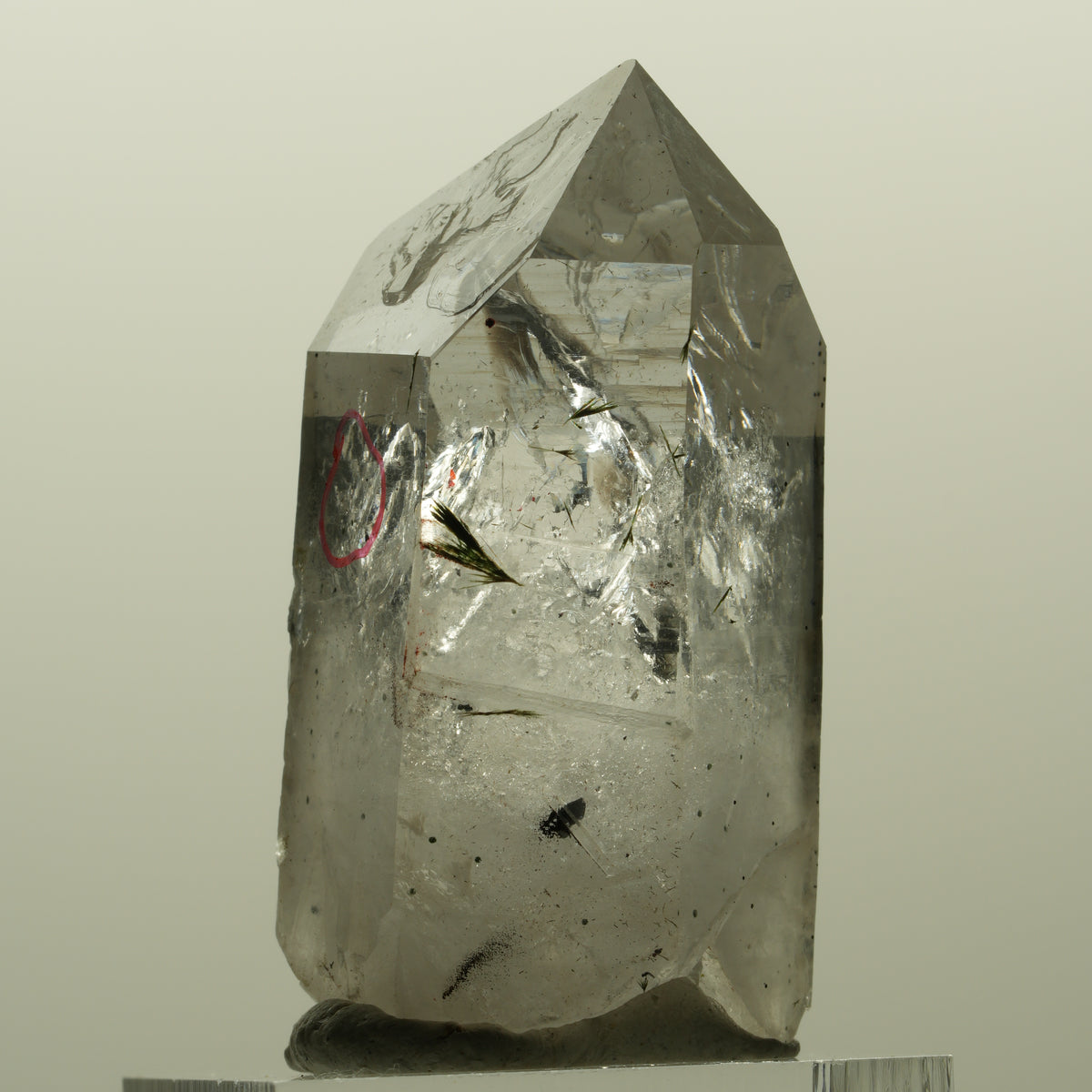 Enhydro Harlekin Lemurian Skelett Rauchquarz Epidot 1x Blase Streep Mine Namibia 42*24*21mm #15191