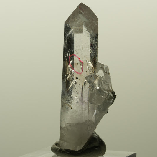 Enhydro Harlekin Lemurian Skelett Phantom Amethyst, 1x Blase Streep Mine Namibia 48*22*19mm #15195