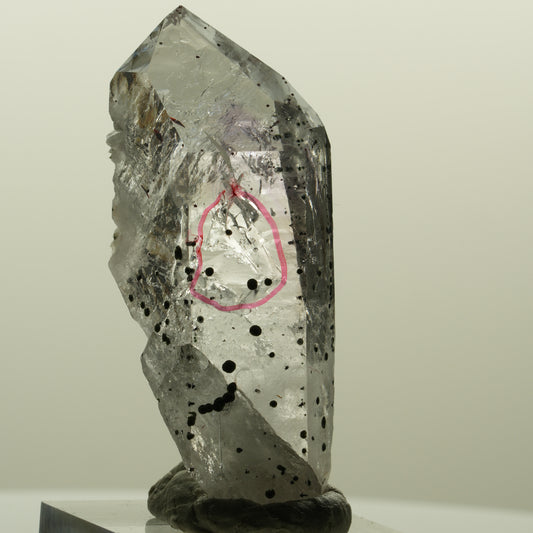 Enhydro Harlekin Lemurian Phantom Amethyst, 1x Blase Streep Mine, Namibia 50*23*14mm #15204